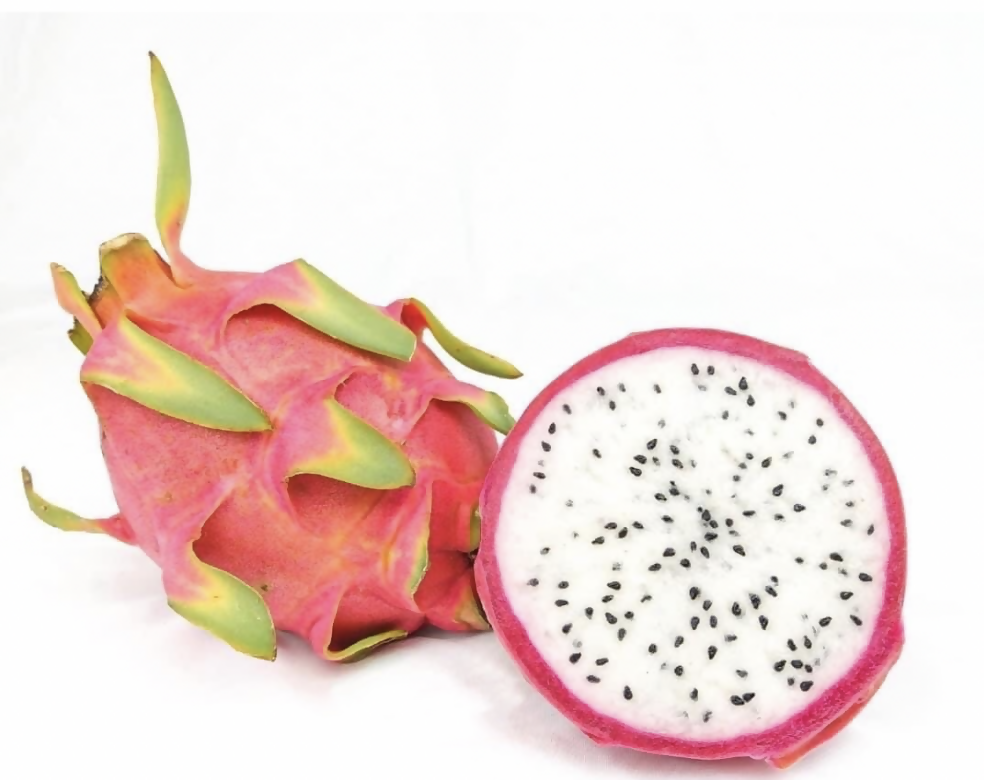 White Dragon Fruit