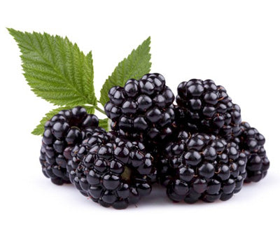 Blackberries 12/6OZ