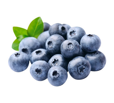 Blueberries Special