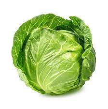 Cabbage Green CTN