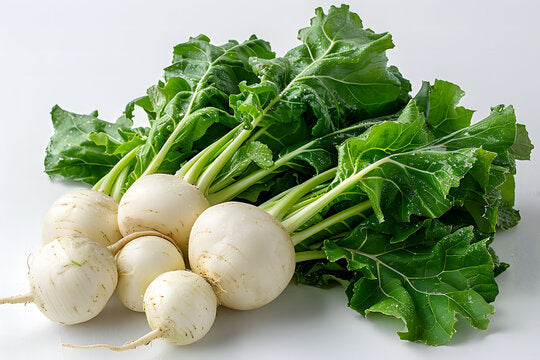 Green Turnip