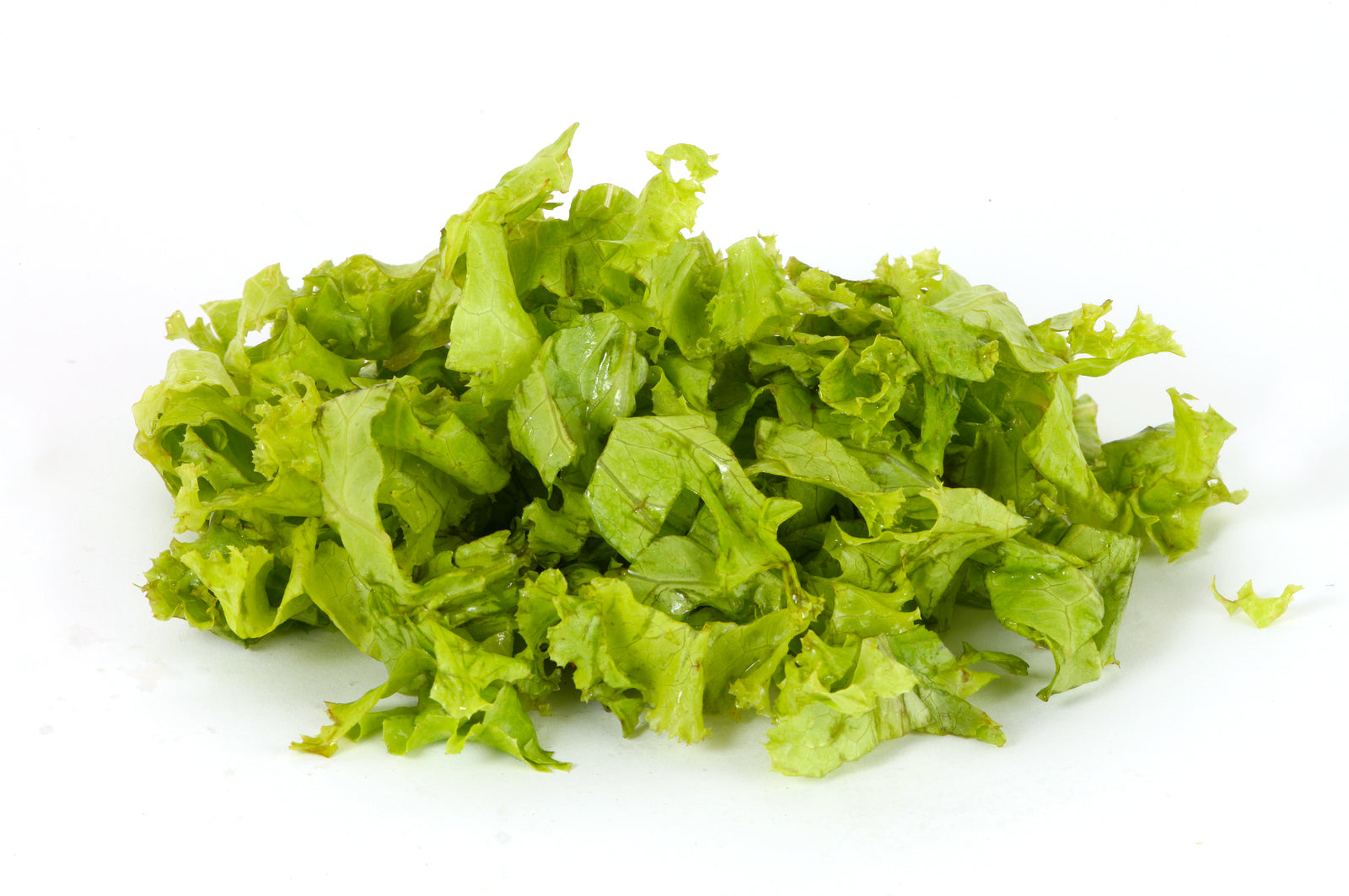 Lettuce Shredded 1/8"