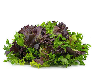 Lettuce Arcadian Blend