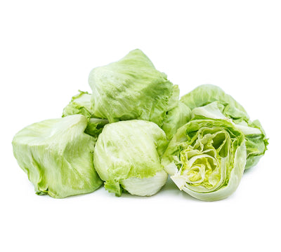 Lettuce Baby Iceberg