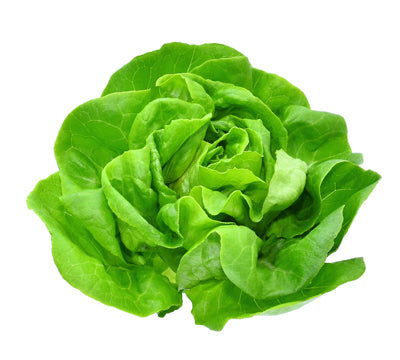 Lettuce Escarole