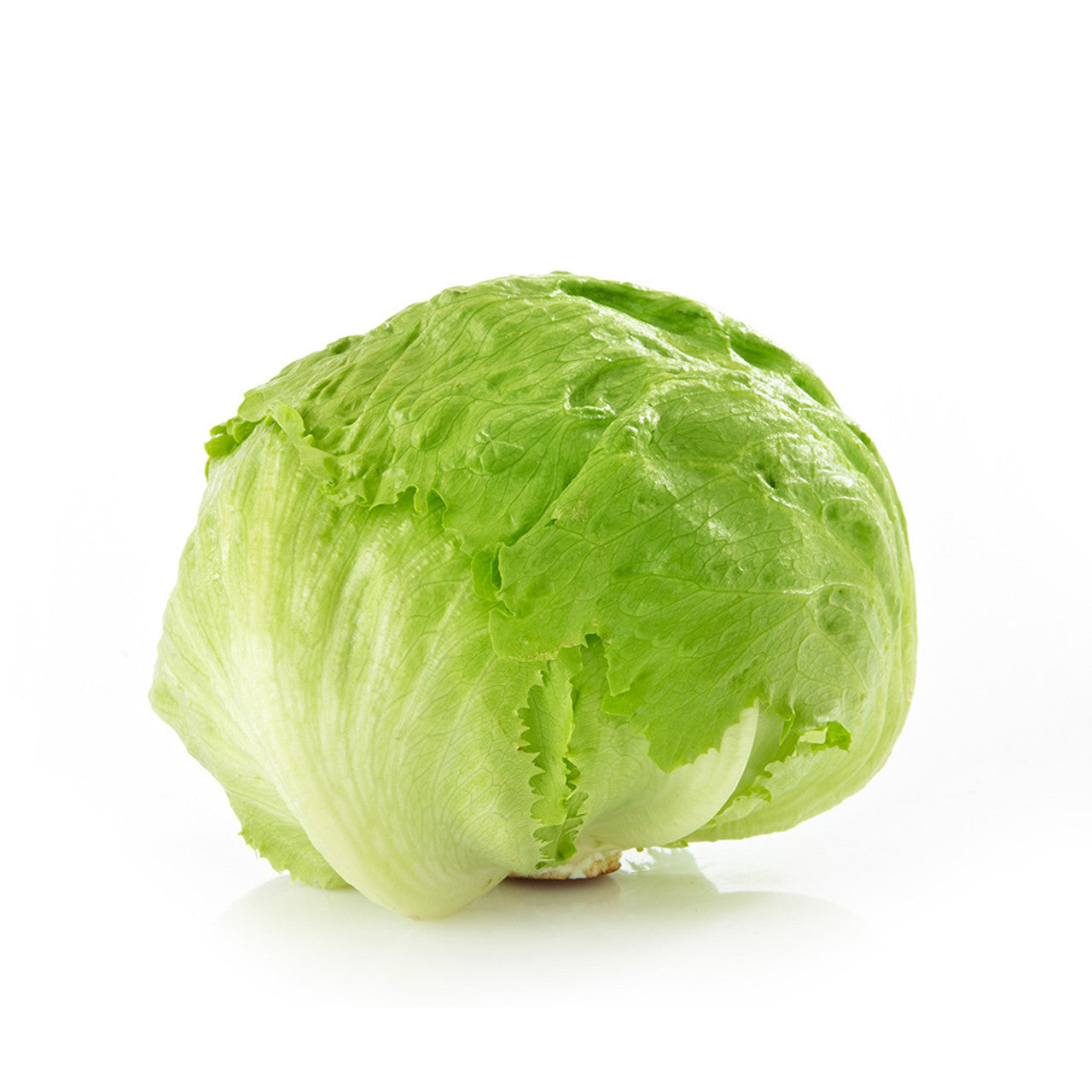 Lettuce Iceberg Cello M