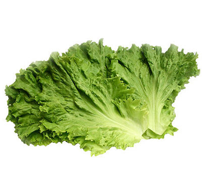 Lettuce Green Leaf Fillets