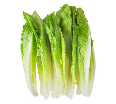 Lettuce Romaine Fillets