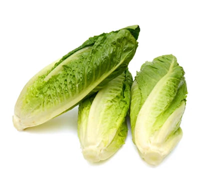 Lettuce Romaine Hearts