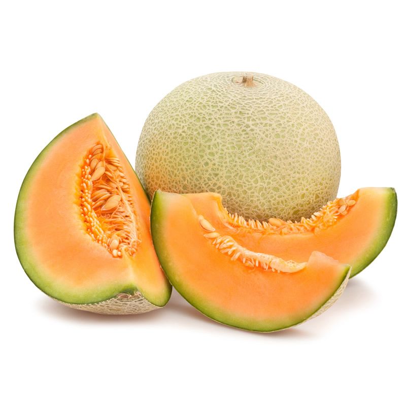 Melon Cantaloupe