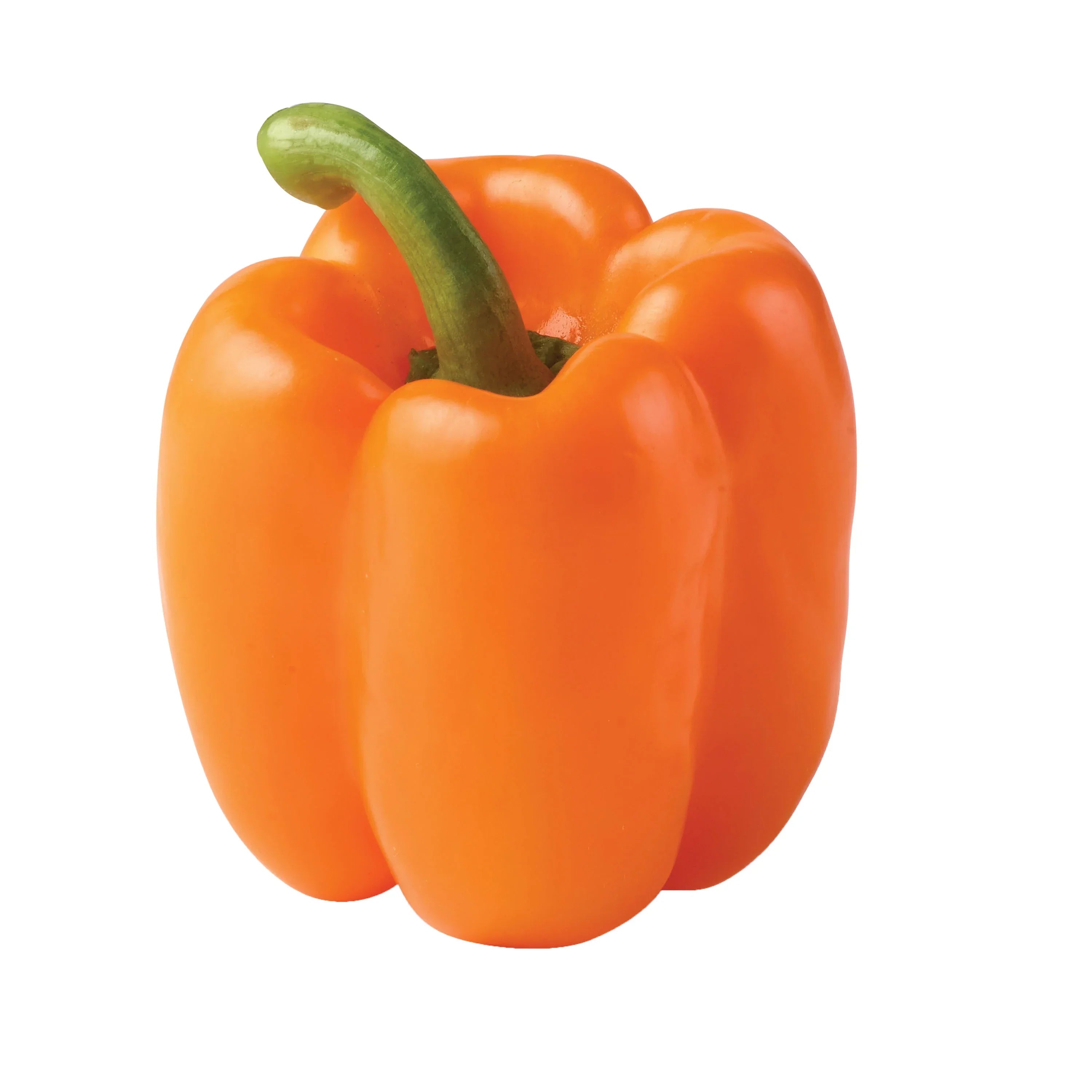 Pepper Bell Orange