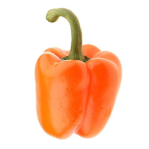 Pepper Bell Orange