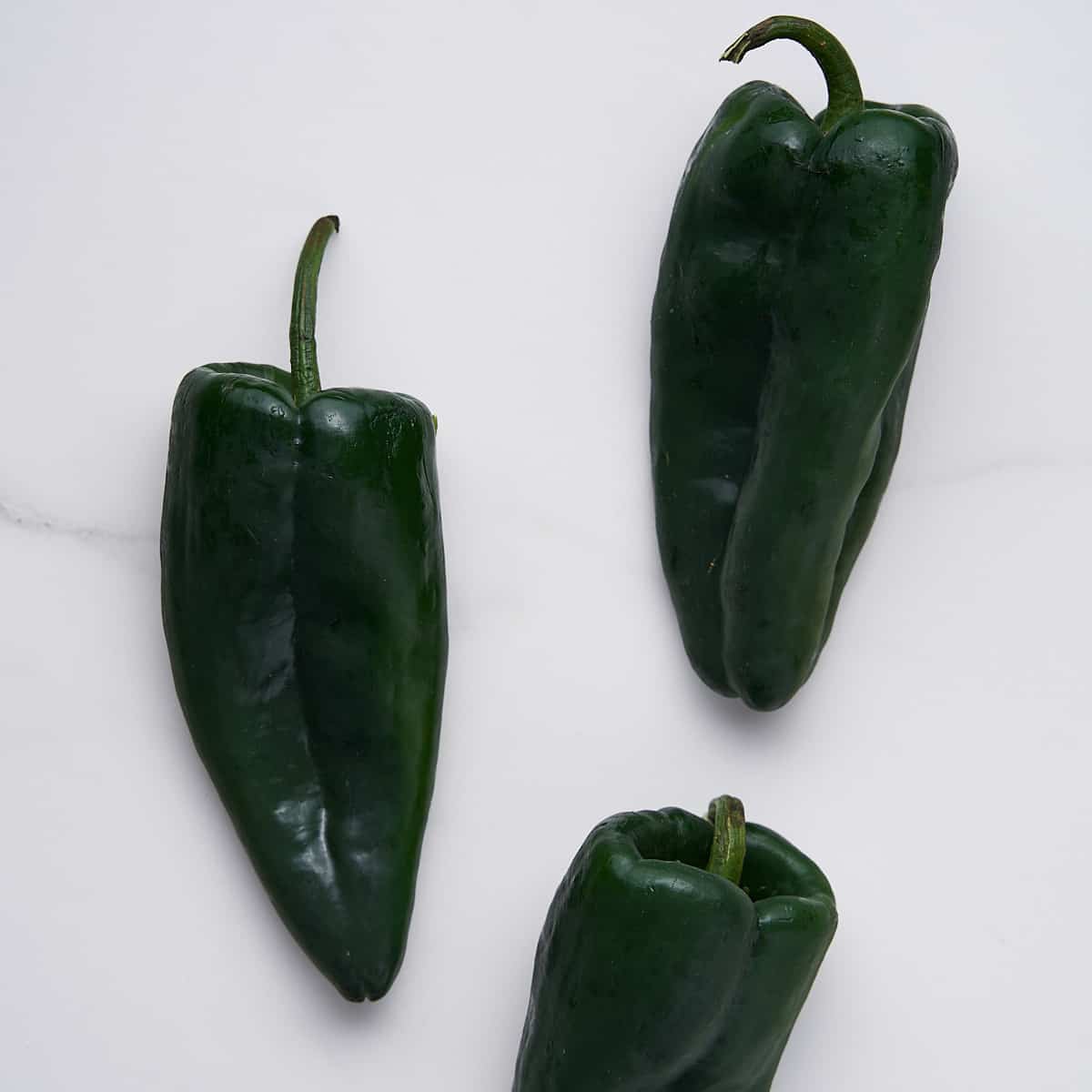 Pepper Poblano