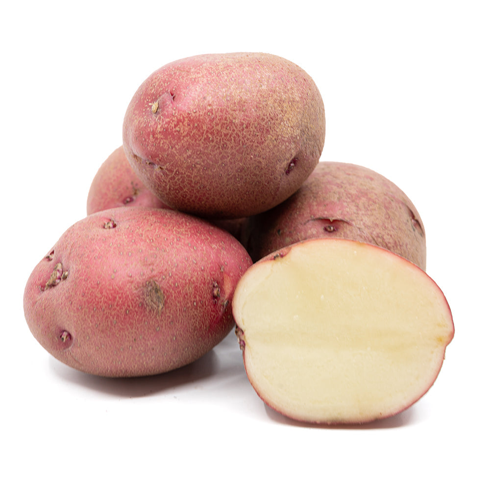 Potato Red A