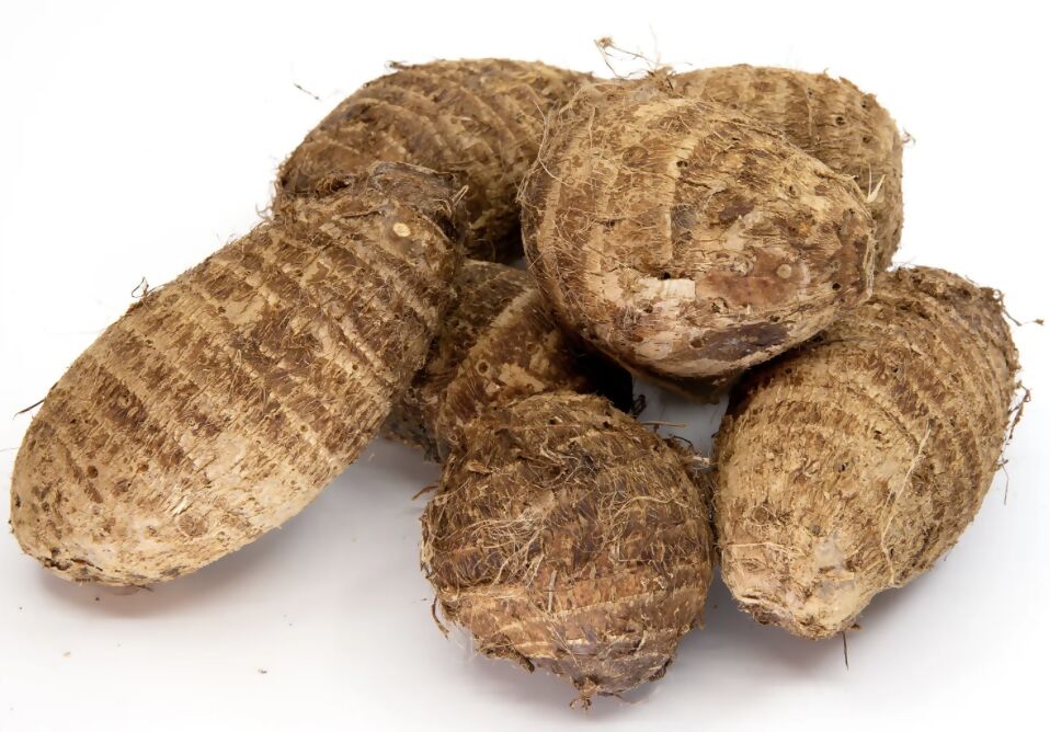 Small Cocoyam