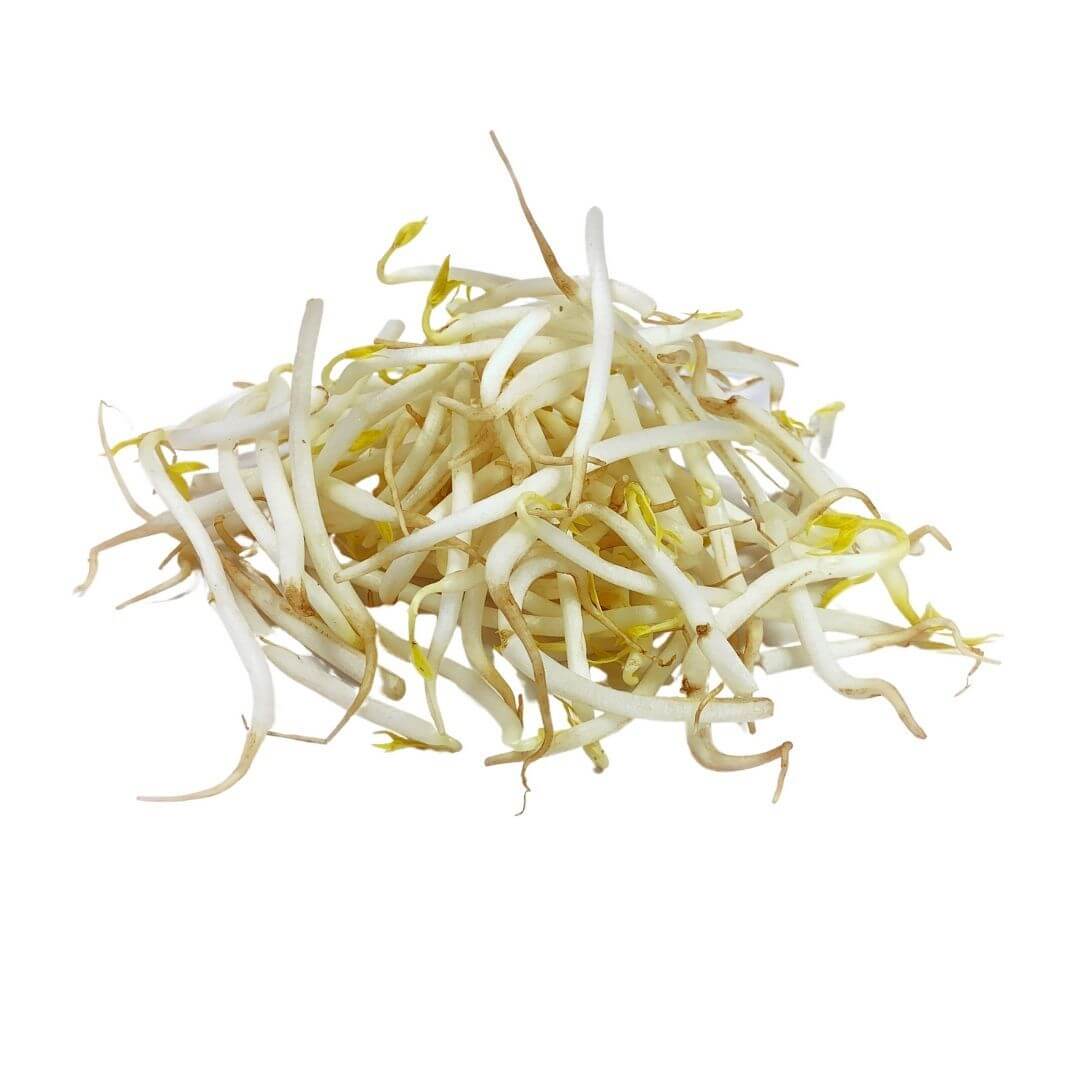 Sprouts Bean Bulk