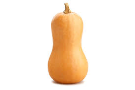 Squash Butternut