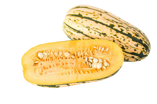 Squash Delicata