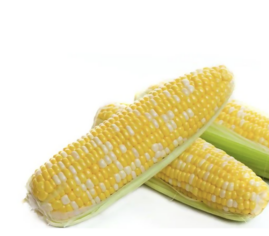 Corn