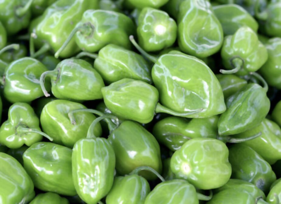 Green Habanero