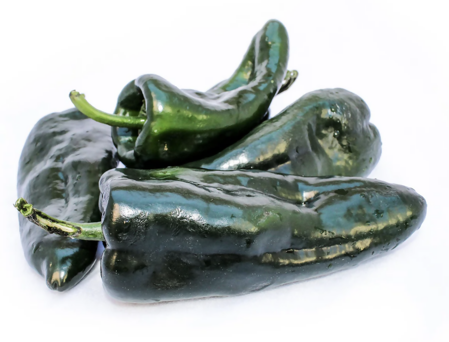 Poblano Pepper